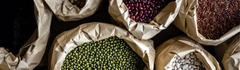 Importing & Exporting Importing & Exporting
